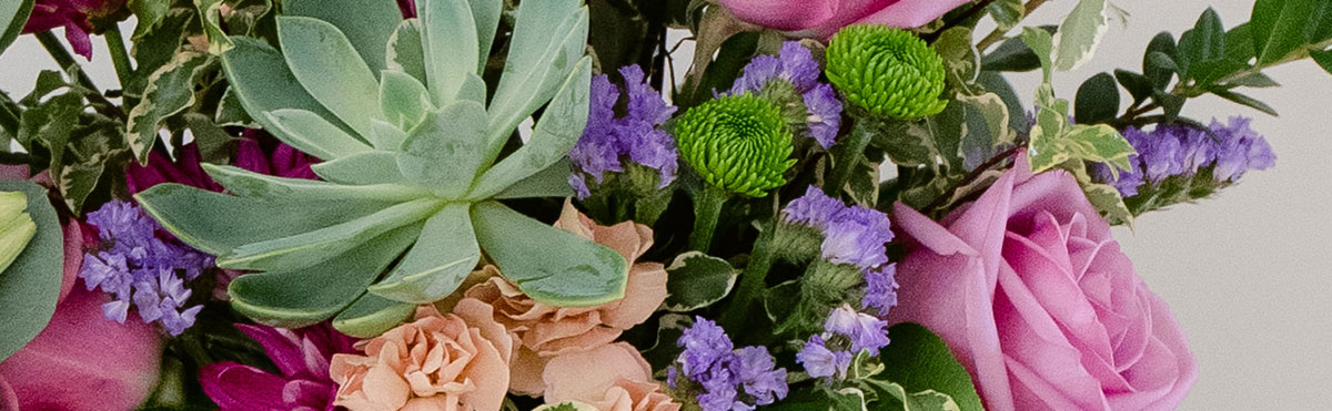 Birthday Flowers & Gifts