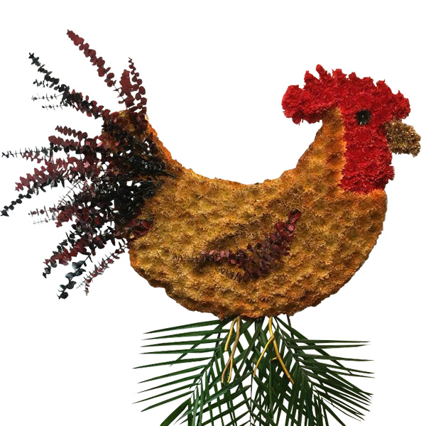 Rooster